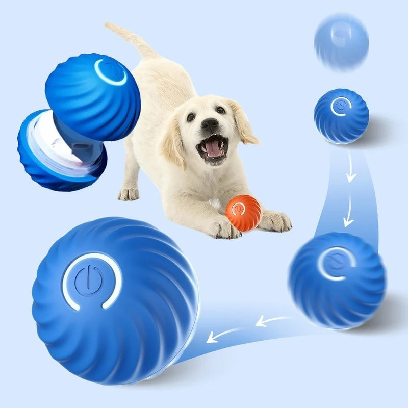 BolaPet Turbo – Diversão Inteligente para Seu Pet!